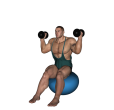 Shoulder Press - Fitness Ball Dumbbell Inwards